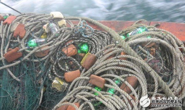 研究人员称，使用设置了LED灯具的渔网时可降低海鸟和海龟的无意捕获率