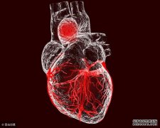 48岁女子半夜心梗离世，医生指出：