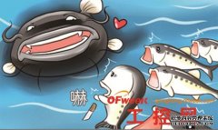 特斯拉：中国电动车市场的“鲶鱼