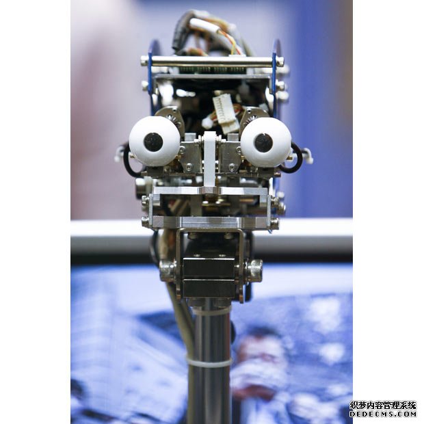 jrs英超直播吧_jrs直播_极速体育nba直播吧拥有自己的眼睛