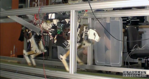 猎豹jrs英超直播吧_jrs直播_极速体育nba直播吧