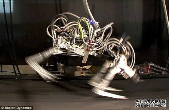 猎豹jrs英超直播吧_jrs直播_极速体育nba直播吧